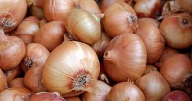 Scheme/Policy for Welfare and Protection of Onion Farmers Scheme/Policy for Welfare and Protection of Onion Farmers