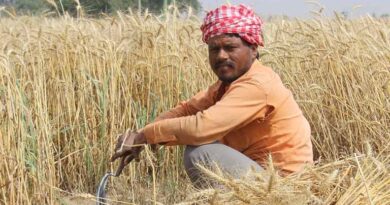 Budget 2026–27 India: Why Cutting Agricultural Research Funding Could Hurt Productivity Budget 2026–27 India: Why Cutting Agricultural Research Funding Could Hurt Productivity