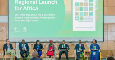 Africa Must Act To Protect Crop Diversity Critical For Food Security And Nutrition Africa Must Act To Protect Crop Diversity Critical For Food Security And Nutrition
