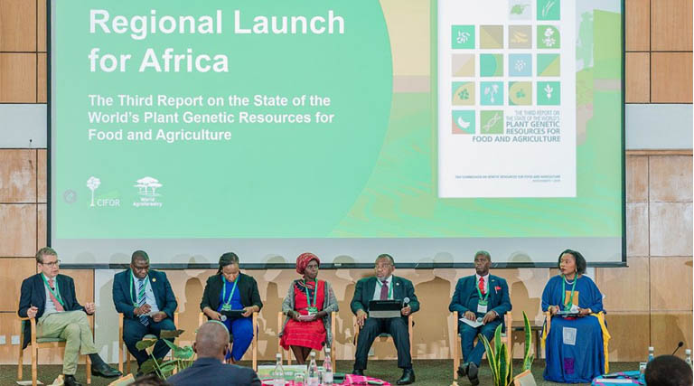 Africa Must Act To Protect Crop Diversity Critical For Food Security And Nutrition