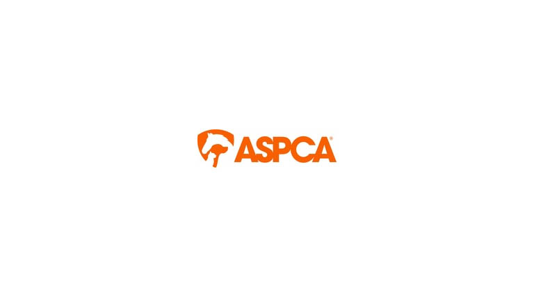 ASPCA Condemns House Farm Bill That Threatens the Welfare of Billions of Animals