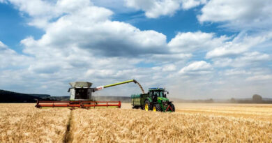 Agriculture Is Not PR: Why Food Security Must Lead Agricultural Policy