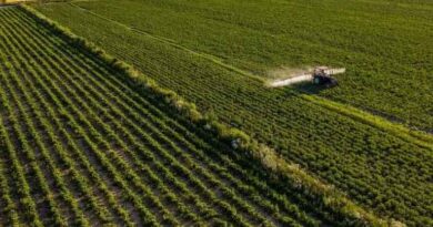 TFI Releases Sustainability Report Showcasing Industry Progress
