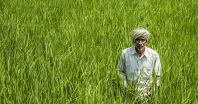 Union Budget 2026–27: New Agricultural Initiatives to Compete in Global Markets Union Budget 2026–27: New Agricultural Initiatives to Compete in Global Markets