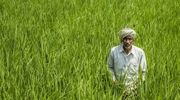 Union Budget 2026–27: New Agricultural Initiatives to Compete in Global Markets