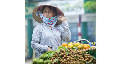Accelerating Green, Low-Emission Food Systems Solutions For Vietnam