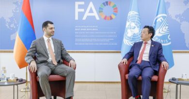 Bilateral meeting with H.E. Hambardzum Matevosyan, Minister for Environment of the Republic of Armenia