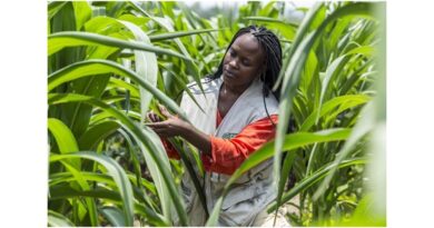 Why Study Sustainable Agriculture With Imperial And CABI