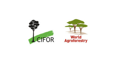 New Research at CIFOR-ICRAF Symposium Reveals: Global “30×30” Biodiversity Targets Will Fail Without Recognizing African Spiritual Landscapes and IP&LC stewardship