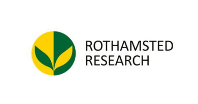 Extreme Heat And Drought At Flowering Could Put Future Wheat Harvests At Risk Extreme heat and drought at flowering could put future wheat harvests at risk