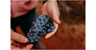 On The Grapevine: South Australia