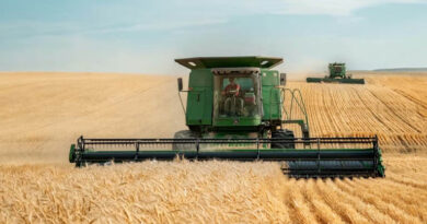 Global Wheat Production Faces a Climate Tipping Point as Heat Stress Overtakes Drought as Primary Threat Global Wheat Production Faces a Climate Tipping Point as Heat Stress Overtakes Drought as Primary Threat