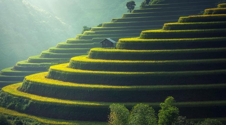 China Cultivates More High-standard Farmland In 2025 Amid Modernization Drive