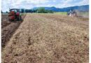 New Technical Guide: Strengthening Soil Protection Through Reduced Tillage New Technical Guide: Strengthening Soil Protection Through Reduced Tillage