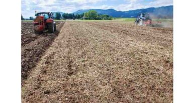 New Technical Guide: Strengthening Soil Protection Through Reduced Tillage