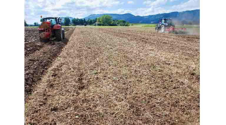 New Technical Guide: Strengthening Soil Protection Through Reduced Tillage