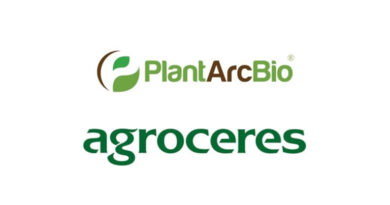 PlantArcBio and Helix Sementes e Biotecnologia (Agroceres Group Company) Announce Licensing Collaboration to Advance High-Yield, Drought-Resilient Corn in South America