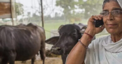 How Gendered Is Farm Technology Adoption? Evidence From India How Gendered Is Farm Technology Adoption? Evidence From India