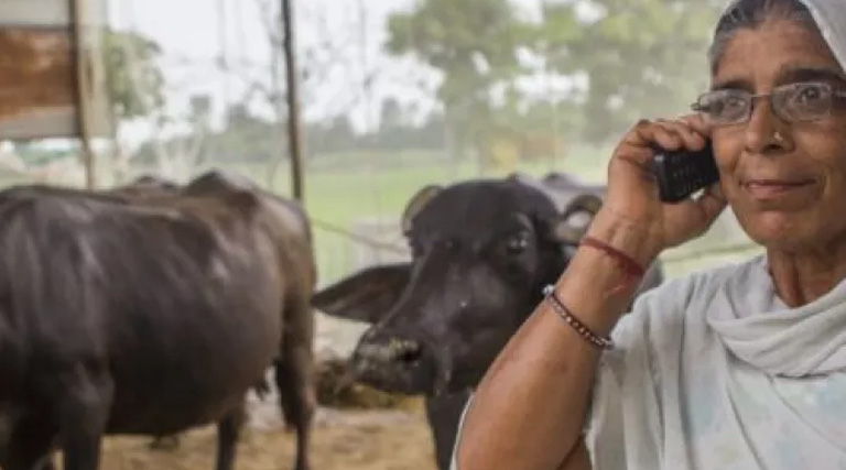 How Gendered Is Farm Technology Adoption? Evidence From India