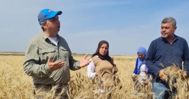 From policy to practice: Advancing the organic sector in Tunisia From policy to practice: Advancing the organic sector in Tunisia