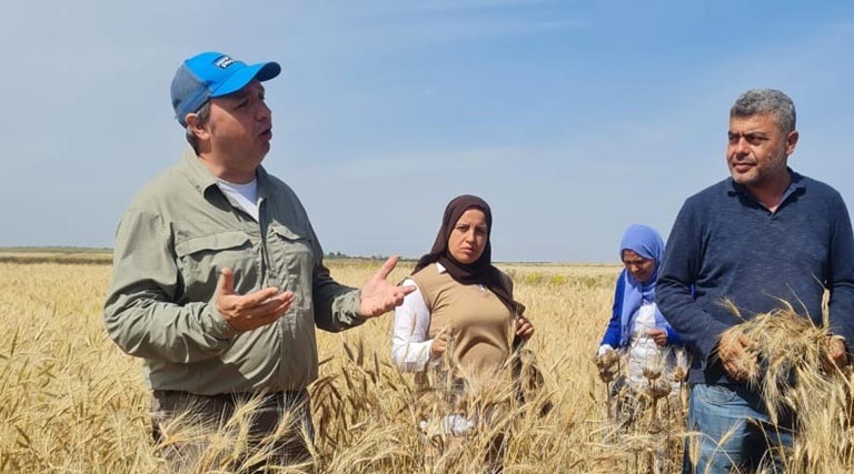 From policy to practice: Advancing the organic sector in Tunisia