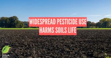 Widespread Pesticide Use Harms Soils Life