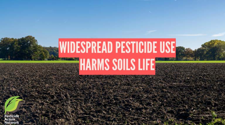 Widespread Pesticide Use Harms Soils Life