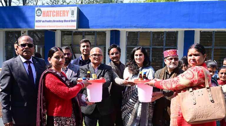 Agriversity Strengthens Rural Livelihoods: Backyard Poultry Units Distributed to SC Farmers in Kangra