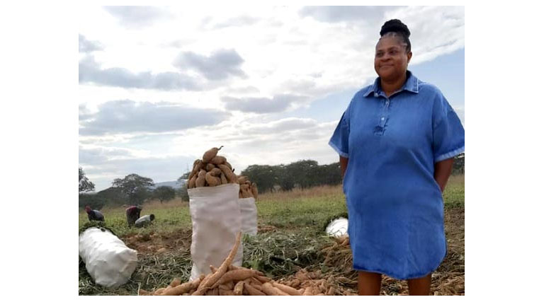 Mrs. Nyakotyo’s Sweet Success with Vitamin A Orange Sweet Potatoes