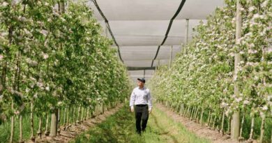Growers Tackle Two-spotted Mite Resistance With New Mode Of Action Growers Tackle Two-spotted Mite Resistance With New Mode Of Action