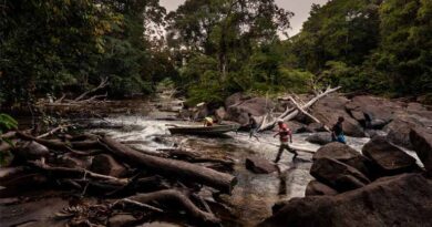 New Global Report Highlights Slow Progress In Expanding Secure Land Tenure New Global Report Highlights Slow Progress In Expanding Secure Land Tenure