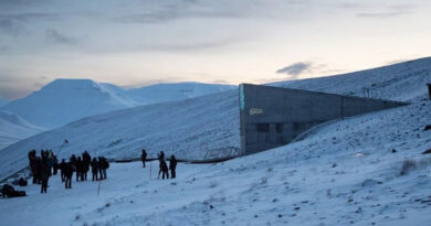 New Countries and a New Crop Mark First Seed Vault Deposit of 2026 New Countries and a New Crop Mark First Seed Vault Deposit of 2026