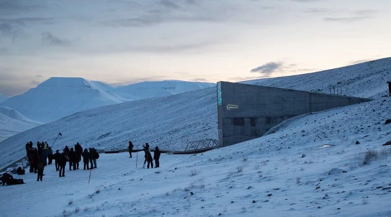 New Countries and a New Crop Mark First Seed Vault Deposit of 2026