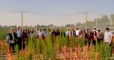 ICBA Team Reflects on Progress and Impact at Annual Open Day