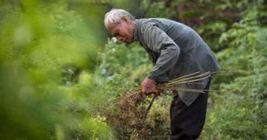 Central Schemes Support Farmers, FPOs and SHGs to Boost Income and Rural Entrepreneurship