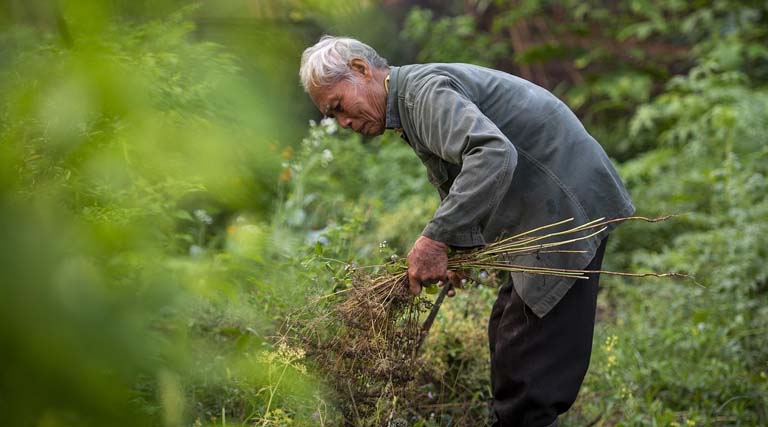 Central Schemes Support Farmers, FPOs and SHGs to Boost Income and Rural Entrepreneurship