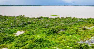 Boeng Sneh Lake: Water, Life, and Our Shared Future Boeng Sneh Lake: Water, Life, and Our Shared Future