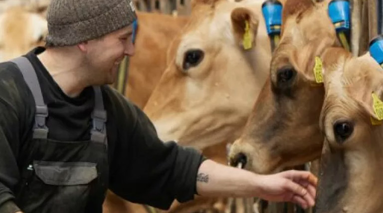 Making climate policy action a political reality: Lessons from Denmark’s Green Agreement