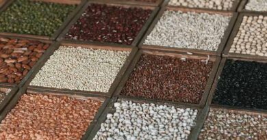 National Pulses Conference to Be Held in Sehore, Madhya Pradesh on 7 February