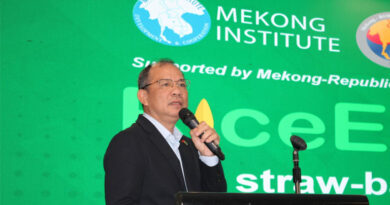 Beyond the Pilot: Scaling Up Rice Straw Circular Economies Across the Mekong