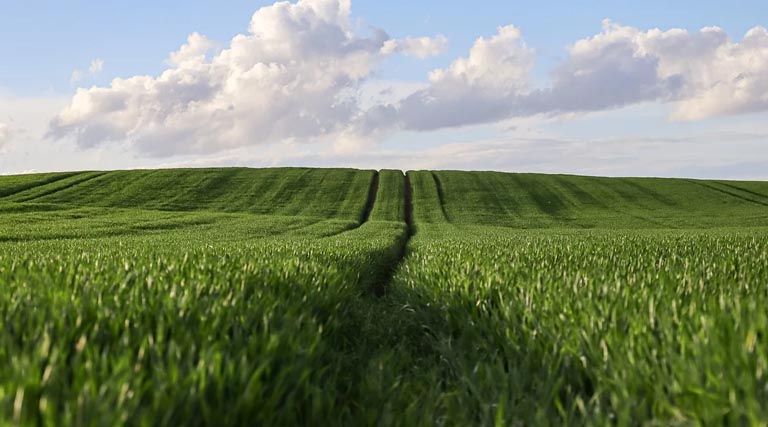 Haryana’s Priority Sector Credit Potential Estimated at ₹3.67 Lakh Crore; NABARD State Focus Paper Released