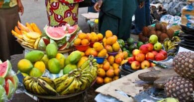 New research highlights vouchers as a tool to improve fruit affordability in Nigeria and Vietnam