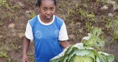 Reshaping Youth Aspirations In Agrifood Systems