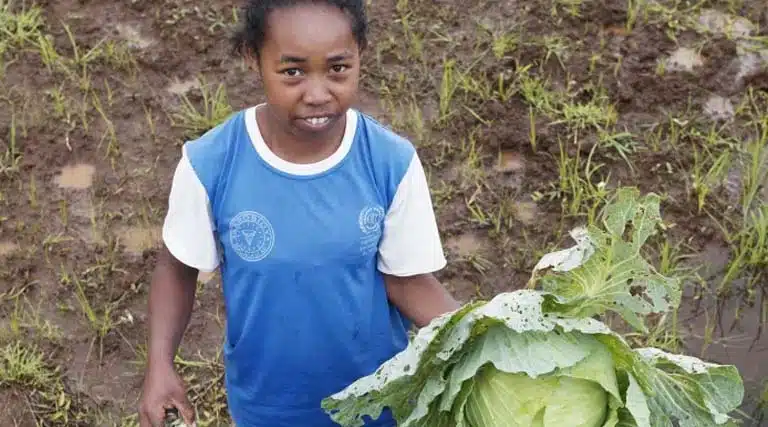 Reshaping Youth Aspirations In Agrifood Systems