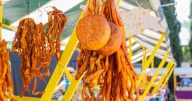 FAO Food Price Index Declines In January For Fifth Consecutive Month FAO Food Price Index Declines In January For Fifth Consecutive Month