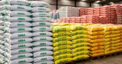 Fertilizer Availability Remains Adequate in Tamil Nadu: JP Nadda