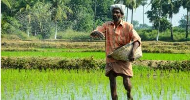 India Records Highest-Ever Monthly P&K Fertiliser Production at 15.76 LMT in January India Records Highest-Ever Monthly P&K Fertiliser Production at 15.76 LMT in January
