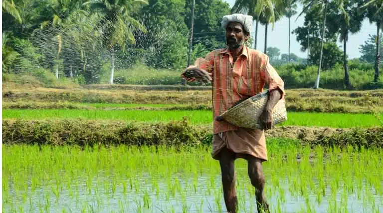 India Records Highest-Ever Monthly P&K Fertiliser Production at 15.76 LMT in January