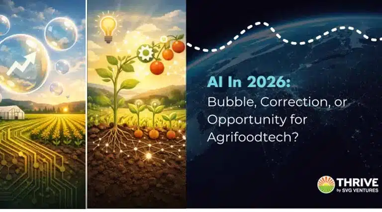 AI in 2026: Bubble, Correction, or Opportunity for Agrifoodtech?
