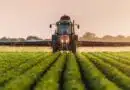 EPA Reapproves Dangerous, Drift-Prone Pesticide Dicamba EPA Reapproves Dangerous, Drift-Prone Pesticide Dicamba